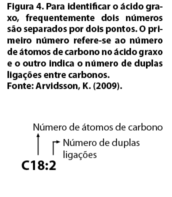figura4.png (19 KB)