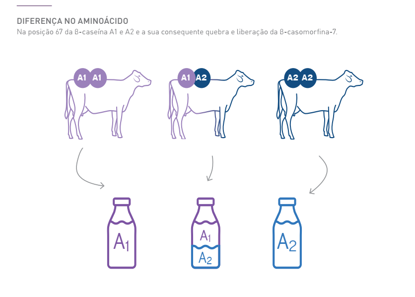 diferença no aminoácido2.png (57 KB)