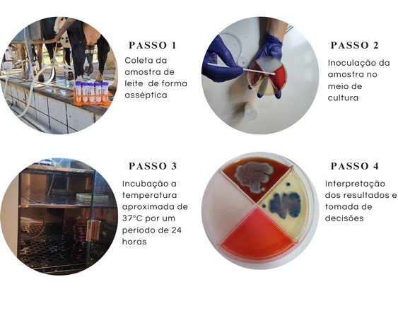 Diagrama, Linha do tempo

Descrição gerada automaticamente