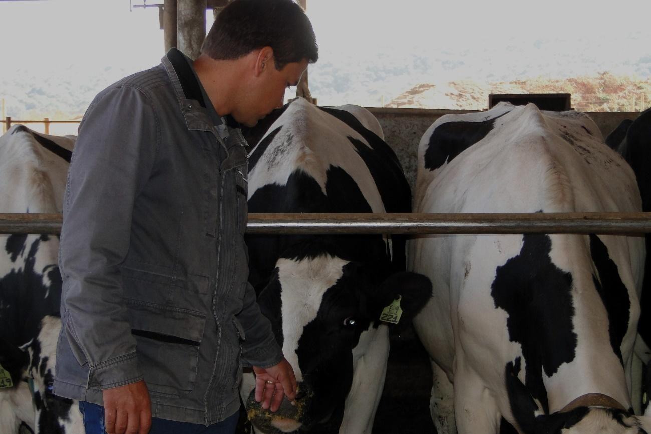 Homem ao lado de uma vaca

Descrição gerada automaticamente