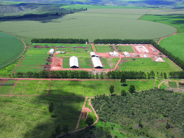 A Fazenda (19)-4.jpg (1.02 MB)