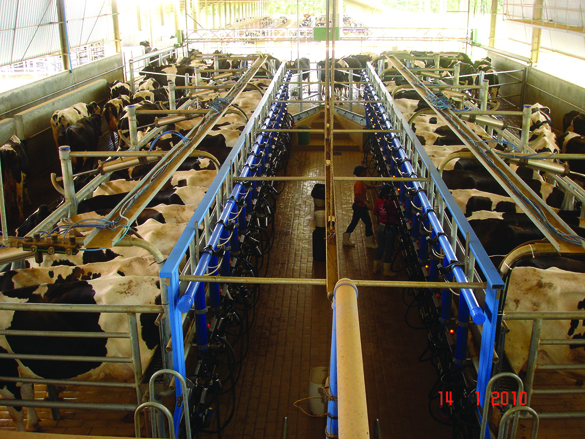 A Fazenda (5)-1.jpg (1.07 MB)