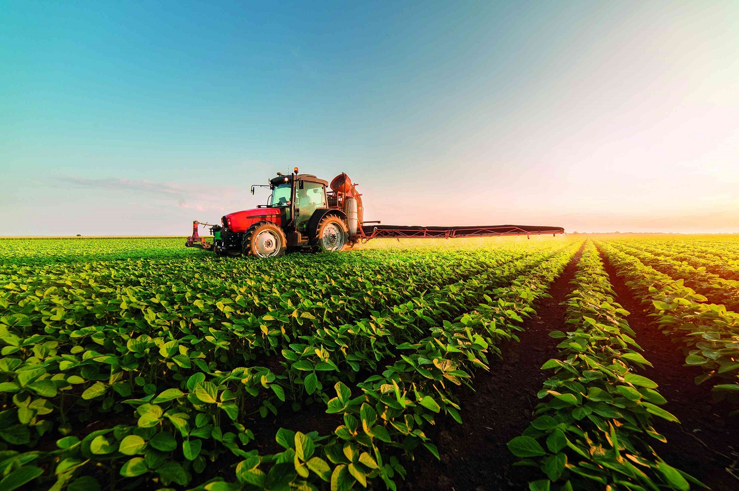 agricultura_agronegocio_shutterstock_653708254.jpg (555 KB)