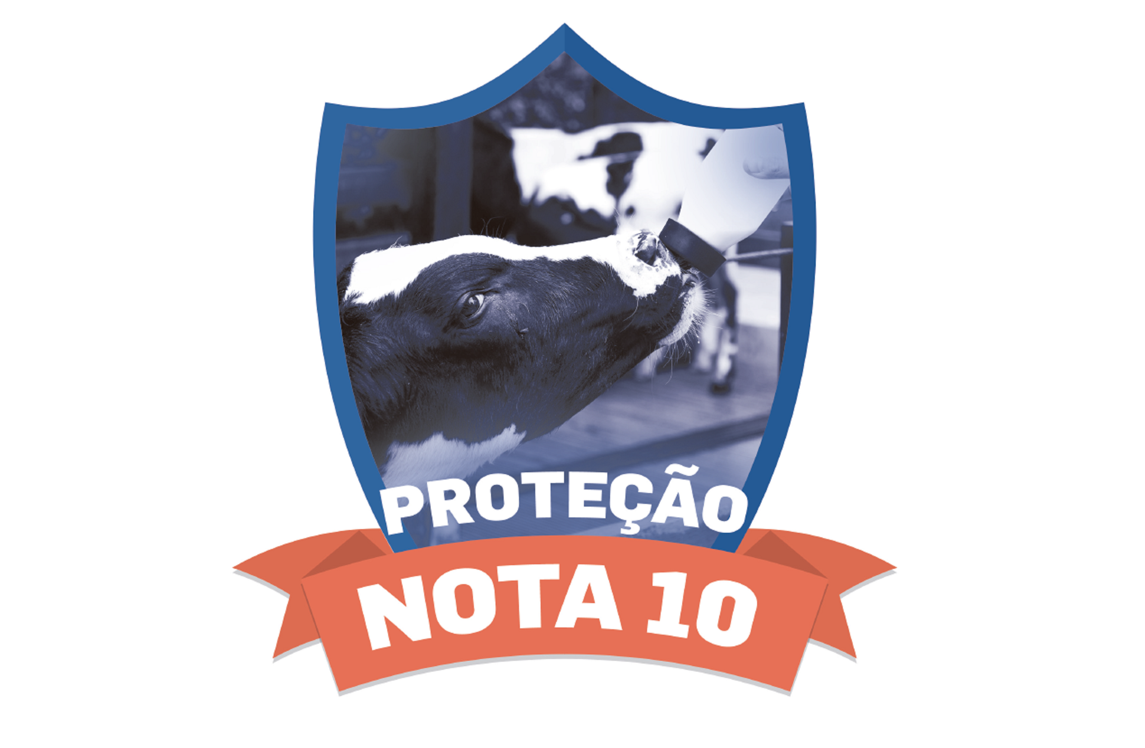 capa protecao.png (2.29 MB)