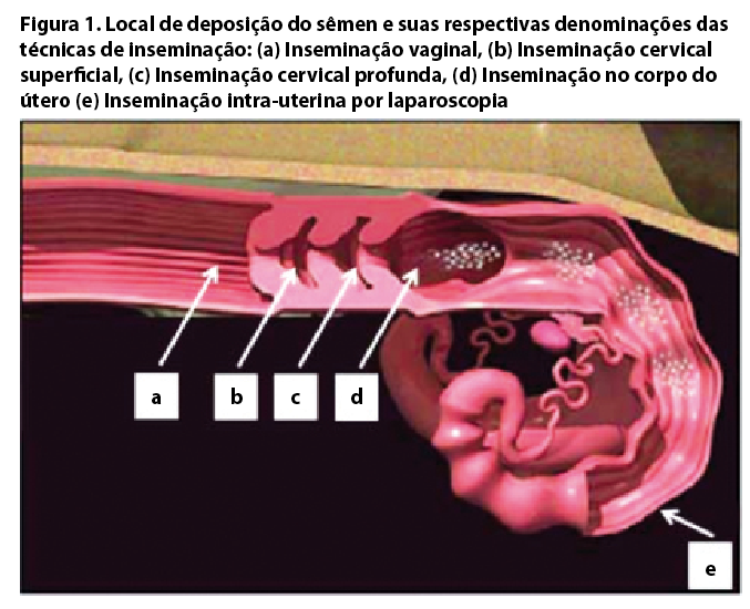 Captura de tela 2016-09-14 a?s 10.49.41.png (206 KB)