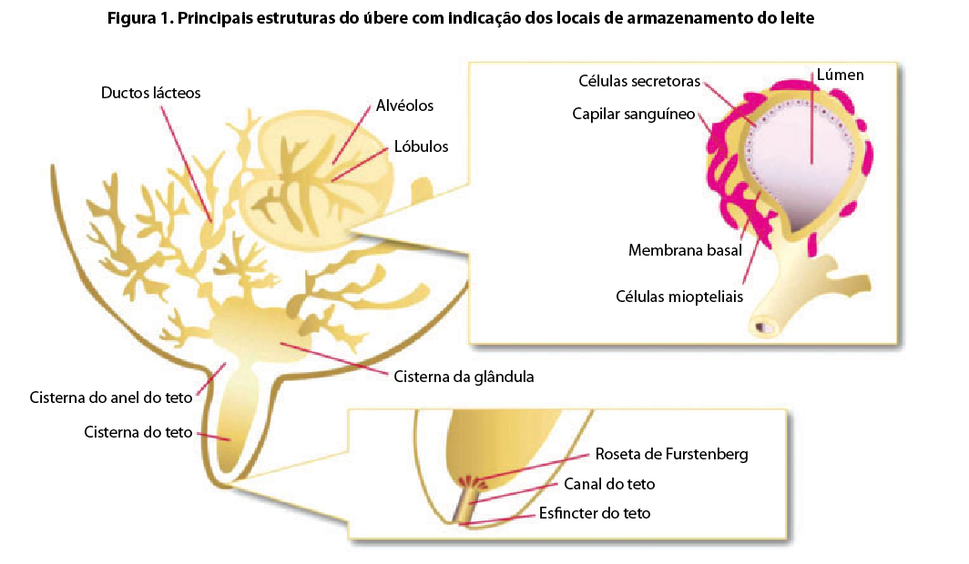 Captura de tela 2016-09-14 a?s 12.50.36.png (221 KB)