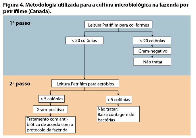 Captura de tela 2016-09-15 a?s 10.36.00.png (45 KB)