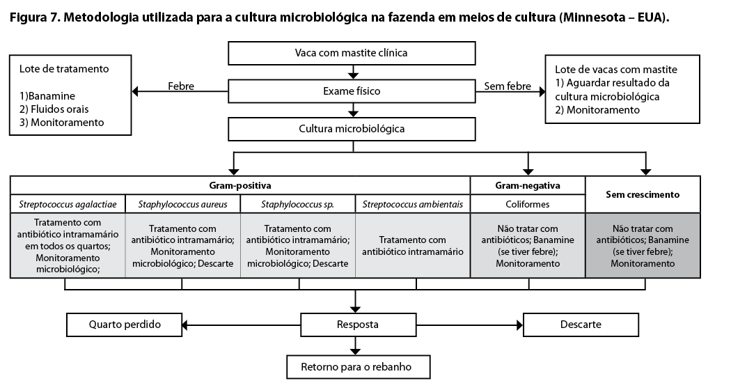 Captura de tela 2016-09-15 a?s 10.36.15.png (57 KB)