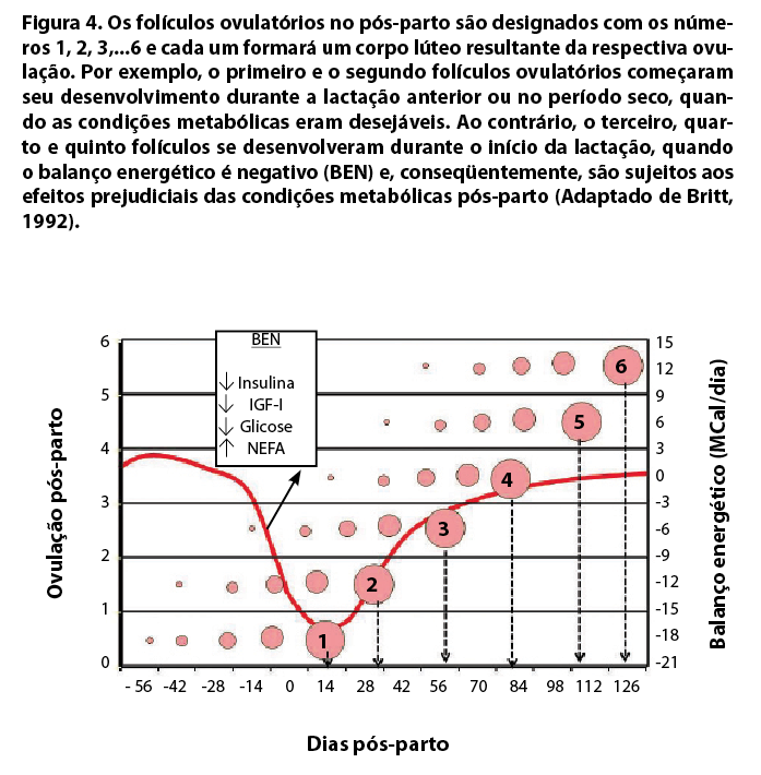 Captura de tela 2016-09-15 às 11.07.19.png (135 KB)
