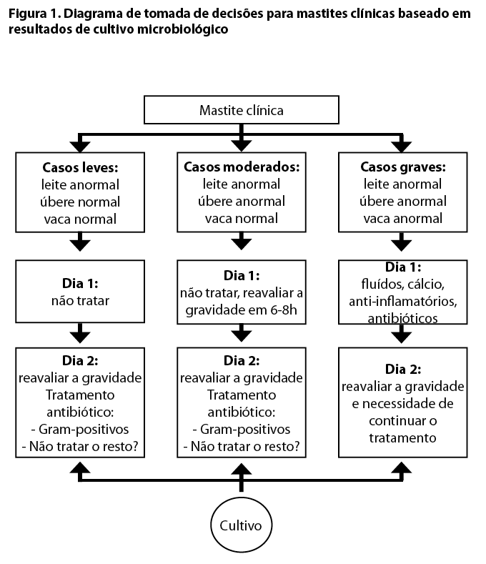 Captura de tela 2016-09-16 a?s 11.06.02.png (47 KB)