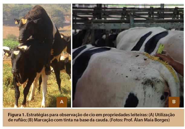 Captura de tela 2016-09-26 a?s 11.27.38.png (336 KB)