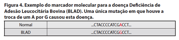 Captura de tela 2016-10-03 a?s 11.13.38.png (53 KB)