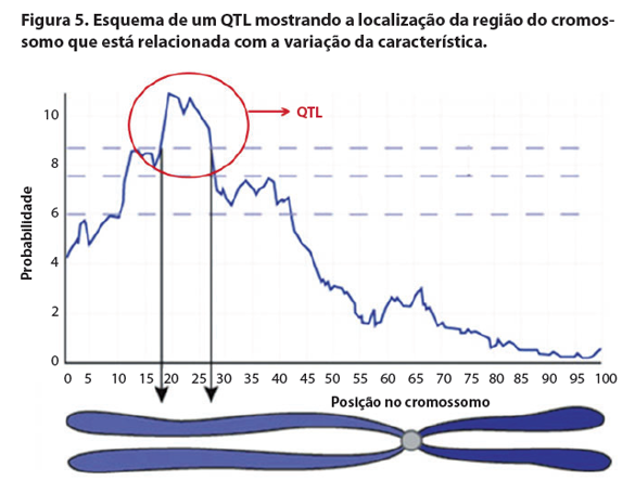 Captura de tela 2016-10-03 a?s 11.13.42.png (142 KB)