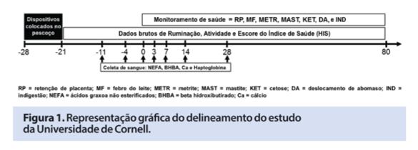 Captura de tela 2016-10-04 a?s 14.28.54.png (64 KB)