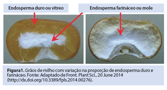 Captura de tela 2016-10-05 a?s 15.25.20.png (184 KB)