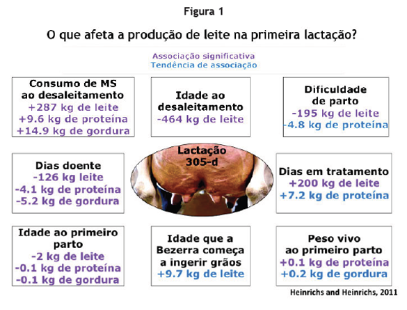 Captura de tela 2016-10-06 a?s 14.22.31.png (222 KB)