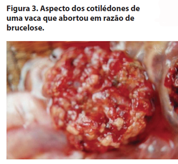Captura de tela 2016-10-07 a?s 11.58.46.png (310 KB)