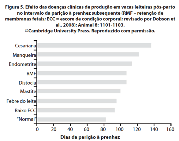 Captura de tela 2016-10-07 a?s 13.56.31.png (94 KB)