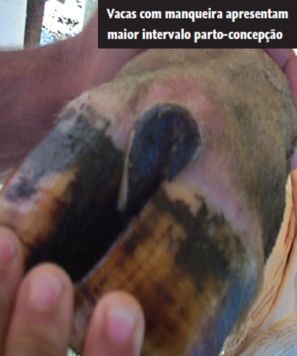Captura de tela 2016-10-07 a?s 13.56.38.png (398 KB)