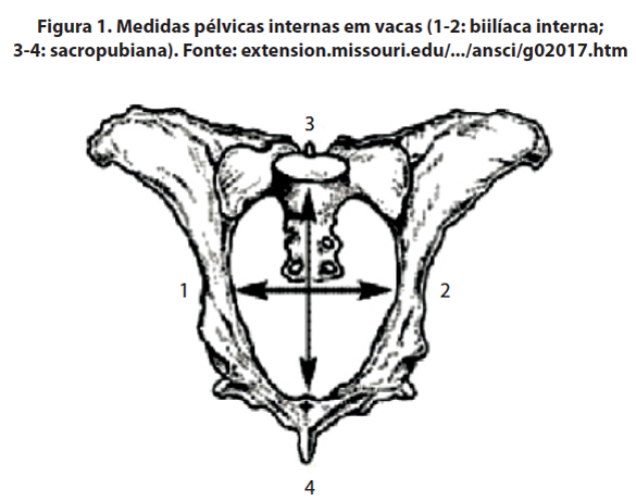 Captura de tela 2016-10-07 a?s 14.12.52.png (159 KB)