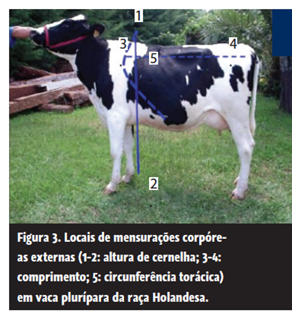 Captura de tela 2016-10-07 a?s 14.12.57.png (418 KB)
