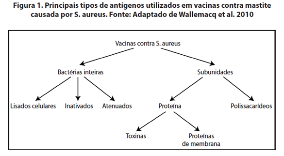 Captura de tela 2016-10-11 a?s 11.43.00.png (62 KB)