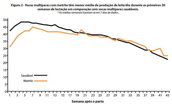 Captura de tela 2016-10-11 a?s 12.20.35.png (63 KB)