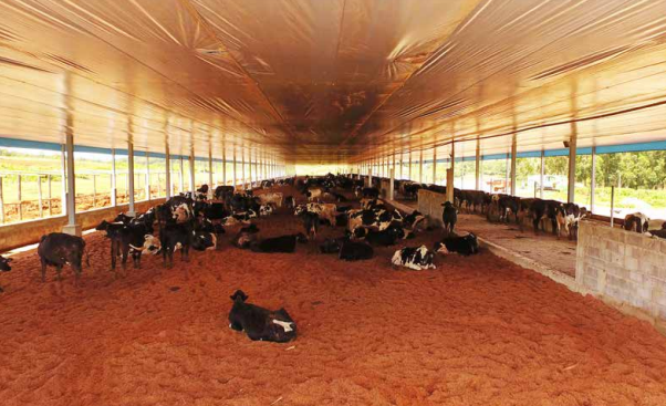compost barn em t&uacute;nel de vento.PNG (564 KB)