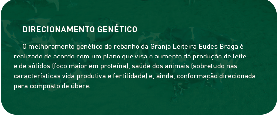 direcionamento.png (161 KB)