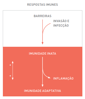 Fazer o certo figura.PNG (15 KB)