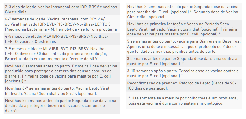 Fazer o certo quadro.PNG (131 KB)