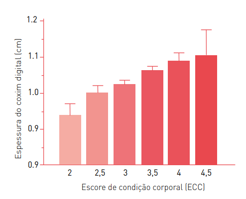 fig2 base sólida.png (21 KB)