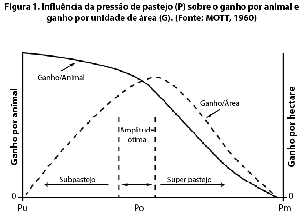 figura1.png (79 KB)