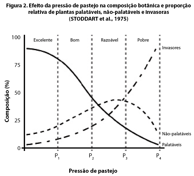 figura2.png (47 KB)