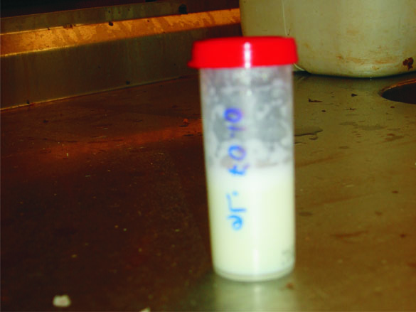 Figura3 Sanidade.jpg (74 KB)