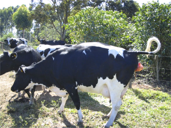 Fotoo 003.jpg (122 KB)