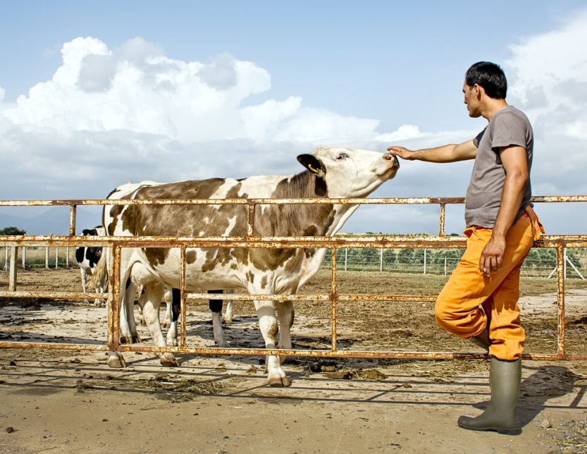 funcionario_fazenda_shutterstock.jpg (206 KB)