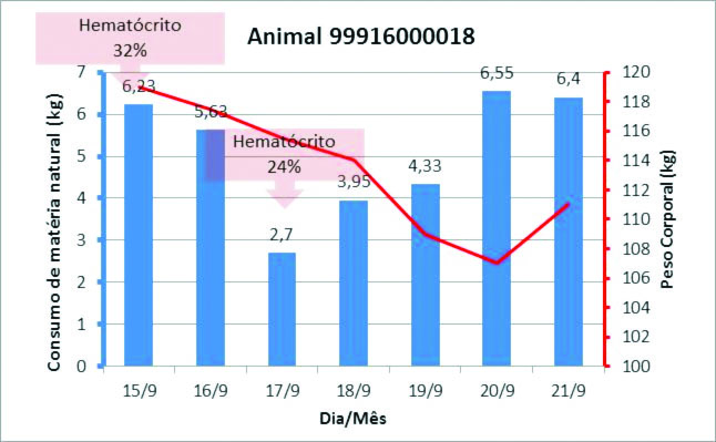 Gra?fico 1.jpg (36 KB)
