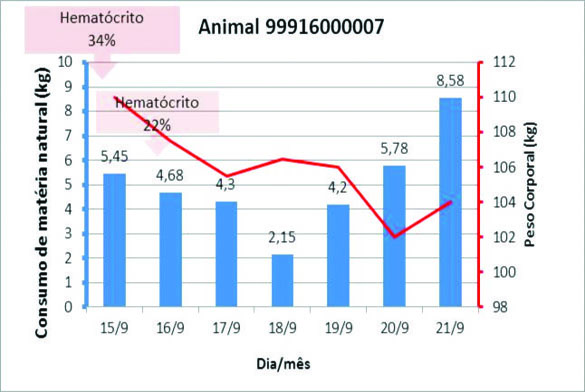 Gra?fico 2.jpg (33 KB)