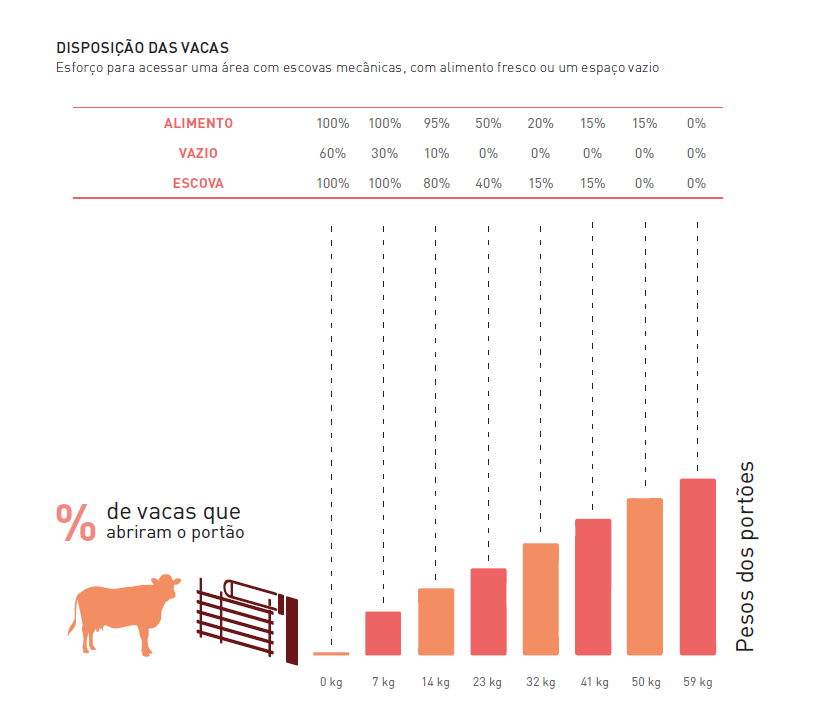 grafico cow.png (33 KB)