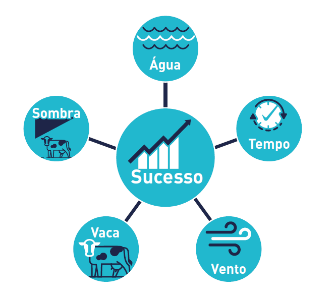 infografico.png (30 KB)