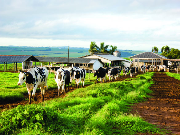 milkpoint-119.jpg (732 KB)