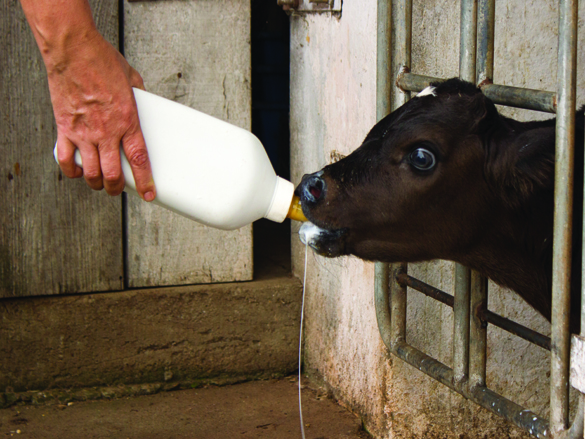 milkpoint-61.jpg (961 KB)