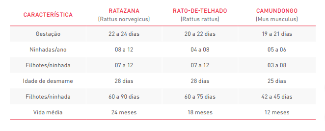 preju&iacute;zo certo2.PNG (27 KB)