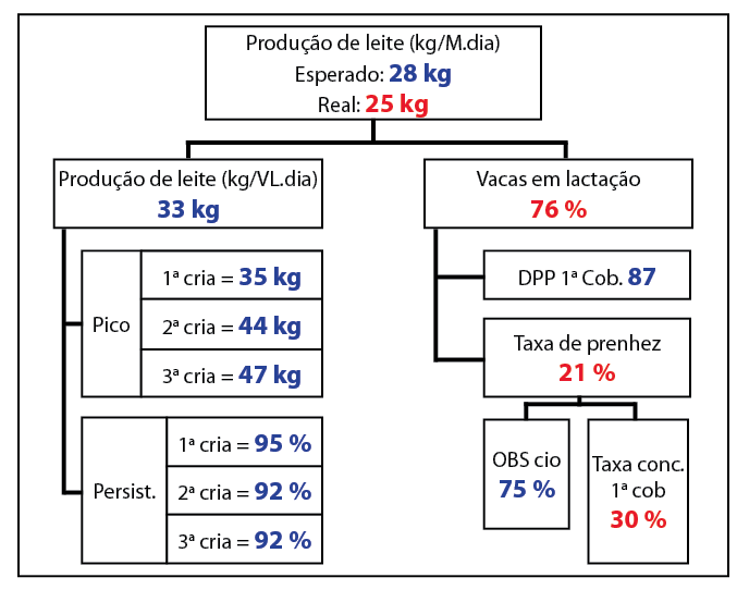produc?a?o de leite.png (41 KB)