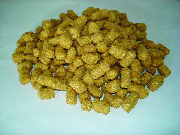 refinazil 1.jpg (921 KB)