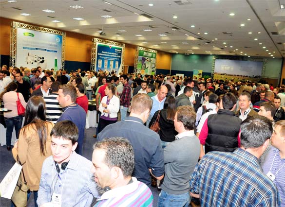 SLI13.jpg (99 KB)