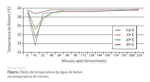 t.figura sem desculpas.png (20 KB)