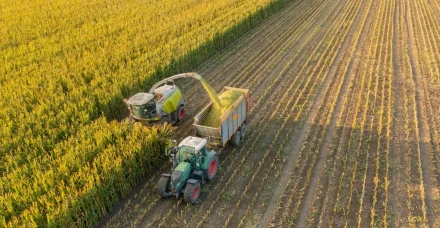 O verdadeiro lucro está na eficiência da silagem produzida