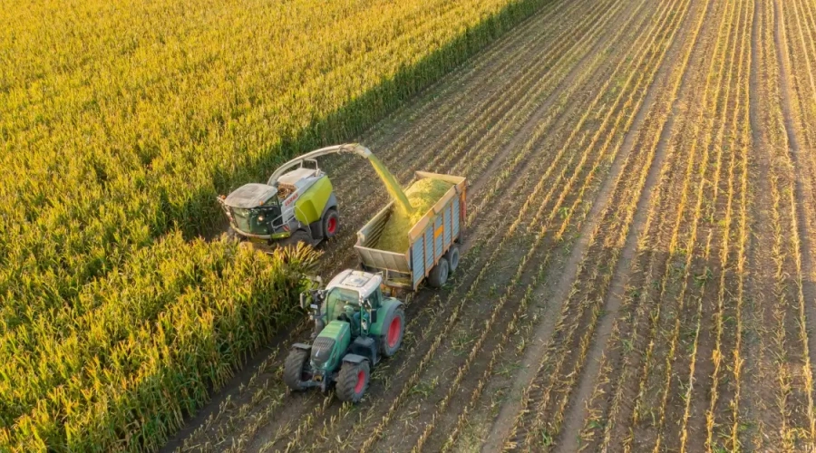 O verdadeiro lucro está na eficiência da silagem produzida